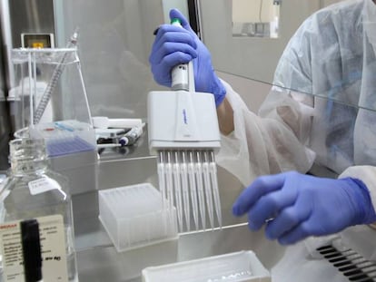 Trabajador de laboratorio trabaja con muestras de Covid-19, Alemania. 