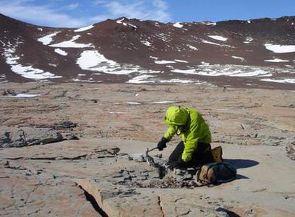 El paleontólogo Christian Sidor en una excavación en la Antártida en enero de 2006