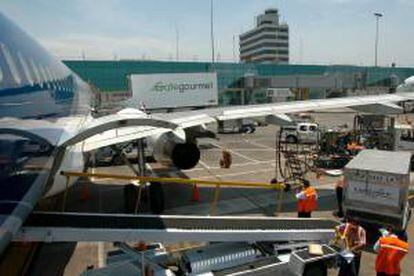 El gerente de Servicios de Aeropuertos Bolivianos SA (Sabsa), Anthony Alicastro, dijoque la cifra fue propuesta desde 2012 con el Ejecutivo para "reencaminar" la concesión para la administración de las tres principales terminales aéreas de este país. EFE/Archivo