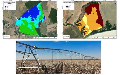 La empresa pacense Greenfield se dedica a la agricultura de precisión. A través de drones y satélites analizan el índice de vegetación, racionalizan el consumo de agua y programan la distribución de nutrientes.