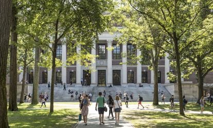 Estudiantes y turistas pasean por el campus de la Universidad de Harvard.