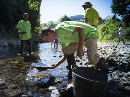 Ismael Sanfiz, en primer término, busca oro en el río Navelgas. Detrás, a la izquierda, su sobrino Hugo Sanfiz con Manolo Rodríguez y otros bateadores al fondo.