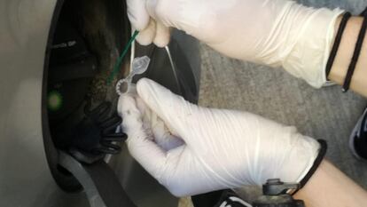 Uno de los investigadores del Instituto de Biología Integrativa de Valencia toma muestras de las bacterias que habitan en la boca de los depósitos de combustible.