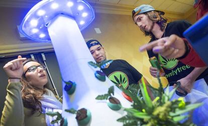 Exposición de cannabis en Washington en 2015.