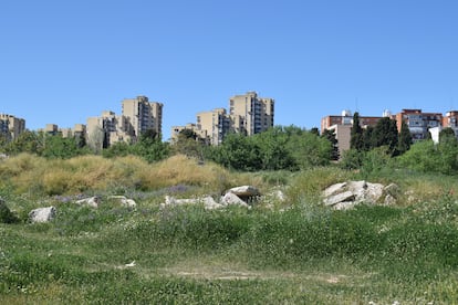 Terrenos de la antigua cárcel de Carabanchel.