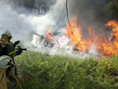 Brigadistas luchando contra el fuego 