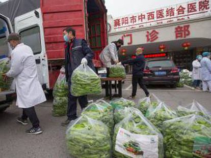 Chilis donados a un hospital de Xiangyang (Hubei, China).