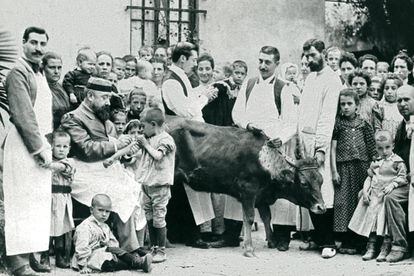 Inoculación de pus de vaca en el Hospital de Niños Pobres de Barcelona, hacia 1890.