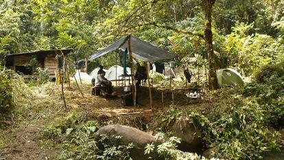 Campamento de la última expedición española en Guinea Ecuatorial en busca de fósiles del ancestro común entre chimpancés y humanos.
