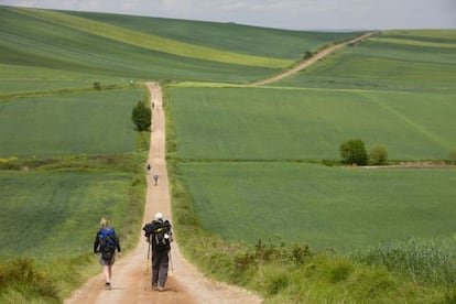 Peregrinos en el camino de Nájera a Santo Domingo de la Calzada, en La Rioja.