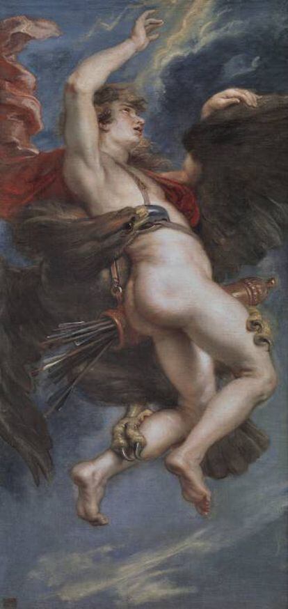 El rapto de Ganimedes, P. P. Rubens. Madrid.