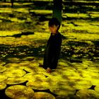 'Memory of Topography (Autumn)', en el teamLab Borderless de Tokio. <br><br>Aplastados por la irremediable y seductora idea del pintor solitario ante su caballete o el escultor combatiendo la masa informe de piedra, hemos ignorado a menudo que el arte es, desde luego, eso, sí, pero también infinitas posibilidades más.<br>