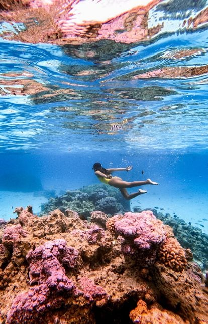 Mariel Galán haciendo esnórquel en los arrecifes coralinos de la isla polinesia. 