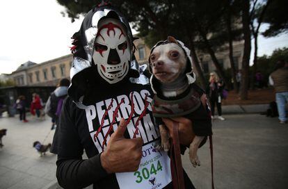 Canes de todo pelaje han recorrido un itinerario de unos 4 kilómetros que ha pasado por la plaza de Colón, el Paseo de la Castellana y la plaza de Cibeles.