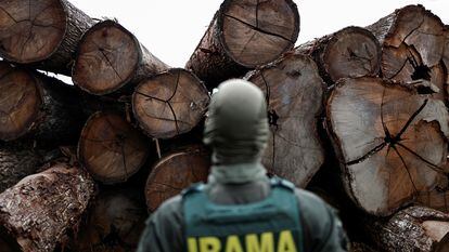 Un agente ambiental durante una redada contra la tala ilegal en Placas, en el estado de Pará, Brasil, el 20 de enero 2023