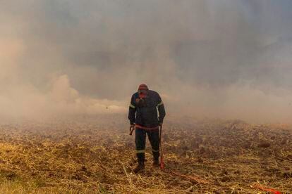 Un bombero, este jueves en Velestino, prefectura de Magnesia, Grecia, trabaja en las labores de extinción del incendio este jueves
