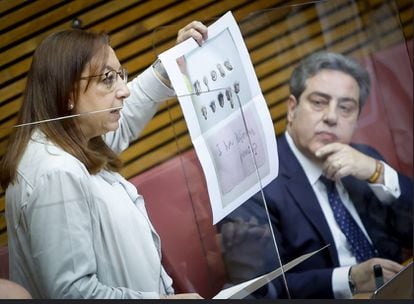 La nueva presidenta de las Cortes valencianas es una negacionista de la violencia machista, contraria al aborto y de los derechos LGTBI: “Según el ADN, una mujer trans no es mujer”