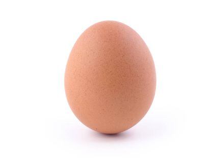 Un huevo sobre un fondo blanco, la imagen más popular del planeta.