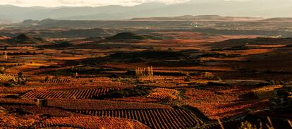 Toda la gama cromática del otoño redondea el atractivo de las tierras de la DOCa Rioja, con incursiones en tres Comunidades Autónomas.