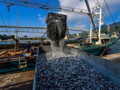 Un barco descarga en el puerto de Sakaiminato (Japón)