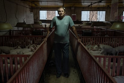 El empresario Milton Becker, votante de Bolsonaro, posa este viernes en la granja donde cría unos 5.000 cerdos . Es una de las mayores compañías de Quatro Pontes.