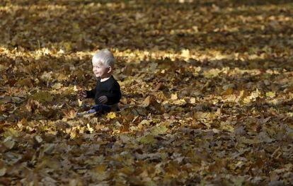 Un niño juega entre las hojas en un parque en Praga (República Checa), el 24 de octubre de 2015.