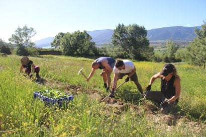 Participantes del experimento Rooral plantando frijoles en Artieda