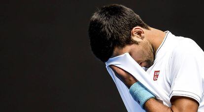 Djokovic se lamenta tras fallar un punto ante Istomin.