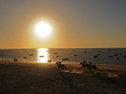 Caballos en la famosa carrera que se celebra cada verano en la playa de la localidad gaditana. 