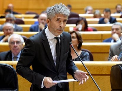 Fernando Grande-Marlaska, ministro del Interior, este martes en el Senado.