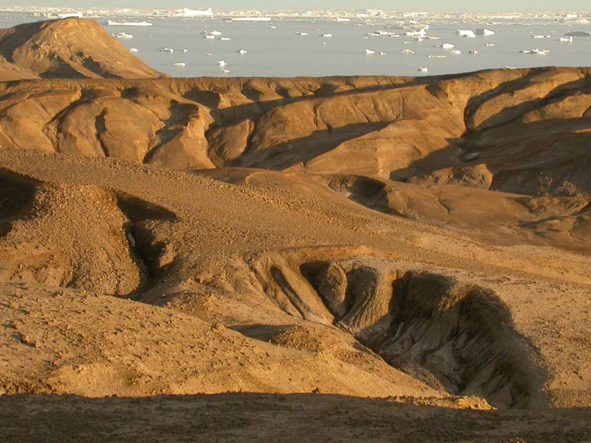 La gran extinción de la era de los dinosaurios llegó hasta los polos | Ciencia | EL PAÍS La gran extinción de la era de los dinosaurios llegó hasta los polos | Ciencia | EL PAÍS