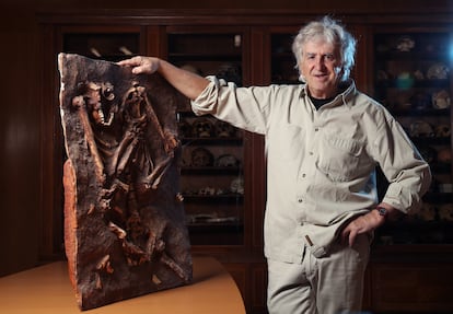 El paleontólogo Juan Luis Arsuaga, en la biblioteca del Centro de Evolución y Comportamiento Humano, posa con una reproducción del fósil neandertal de Kebara (Israel), en Madrid.