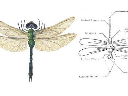 Libélula común e insectocóptero inspirado en ella