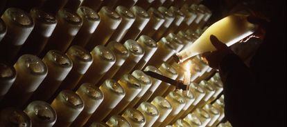 Botellas de cava en la bodega Freixenet, en Sant Sadurn&iacute; d&#039;Anoia (Barcelona).