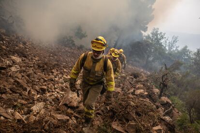 Several people are working on extinction in the Sierra de la Culebra (Zamora).