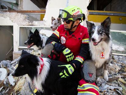 Edgar Martinez posa para un retrato con los perros de rescate Rocky, Orly, Robinson y Balám, en Querétaro, el 8 de mayo de 2023.