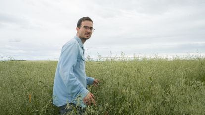 David Ruiz, responsable técnico de Seguimiento de Cultivos en Grupo Pascual, en un campo de soja.