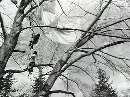 Un fotograma de uno de los vídeos de Gordon Matta-Clark. 'Tree Dance' (Danza del árbol). 1971.