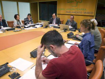 Un momento de la reunión de la comisión parlamentaria de investigación del 'caso De Miguel'.