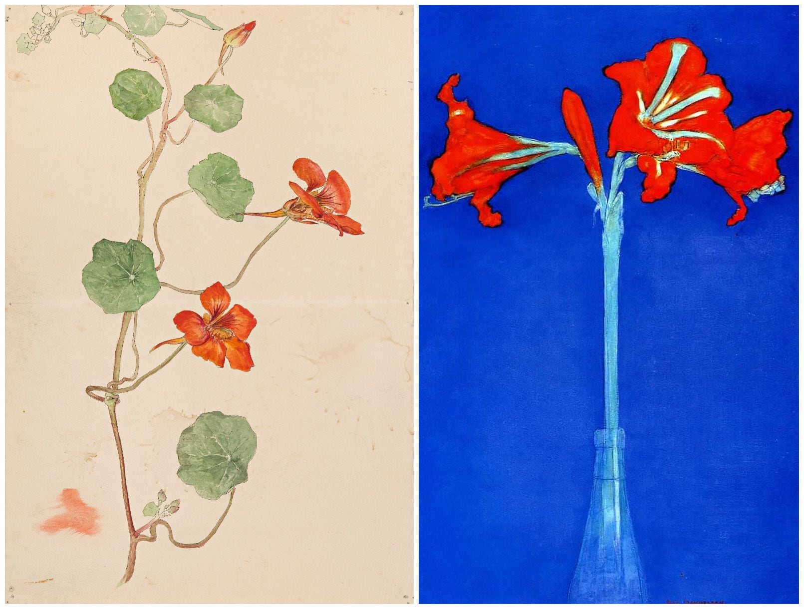 'Botanical Drawing' (1890), de Hilma af Klint, y 'Red Amaryllis with blue background' (1909-10), de Piet Mondrian.