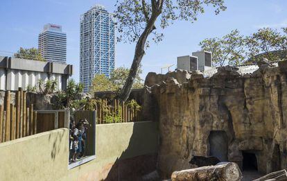 Visitantes del zoo de Barcelona observan a un oso.