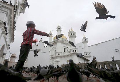 Un niño musulmán da de comer a las palomas después de los rezos durante el mes sagrado del Ramadán, en una mezquita en Colombo, Sri Lanka.