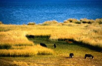 Costa este del lago Titicaca, en Bolivia.