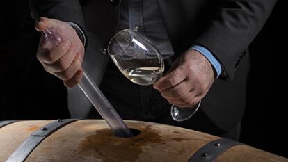 Máster en Enología con titulación previa o experiencia laboral en el sector. ¡Contacta! 