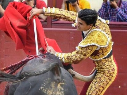 Pablo Aguado, cogido este domingo durante su faena en Las Ventas.