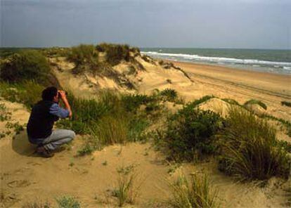 Paisaje dunar en la Flecha de El Rompido, 12 kilómetros de arena en el litoral onubense.