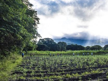 Excombatientes de las FARC en el Espacio Territorial de Capacitación y Reincorporación de Pondores.