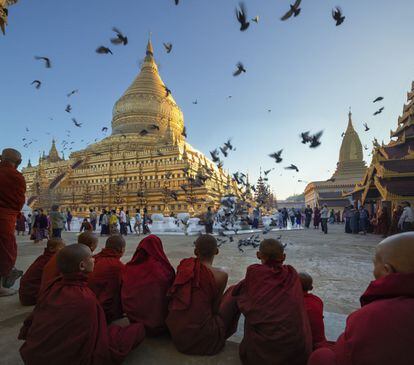 Más de cuatro mil templos budistas salpican las llanuras de Bagan, el lugar donde se estableció el primer reino de Birmania. Erigidos entre los siglos XI y XIII, la mayoría de ellos se encuentran restaurados, pues Bagan aún es un activo enclave religioso y de peregrinación. En la imagen, la estupa Shwezigon en Nyaung U.