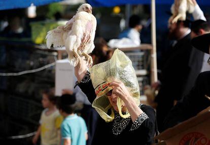 Los hombres seleccionan su pollo mientras que las pocas mujeres que son visibles en el barrio ultraortodoxo de Mea Sherim, aguardan con sus gallinas en la mano. En la imagen, una mujer ultraortodoxa sujeta un pollo sobre su cabeza mientras realiza el ritual de 'kaparot', en Bnei Brak (Israel) el 9 de octubre.
