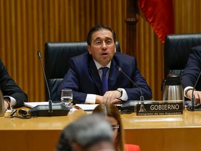 MADRID, 29/01/2024.- El ministro de Asuntos Exteriores, José Manuel Albares (c) comparece en la Comisión de Asuntos Exteriores este lunes en el Congreso. EFE/ Zipi
